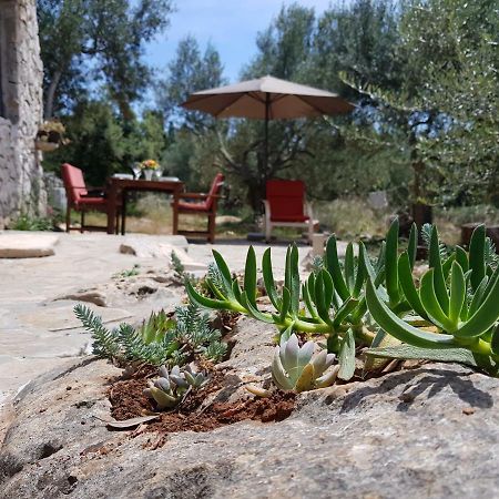 Holiday Home Strpuncina Luka  Esterno foto