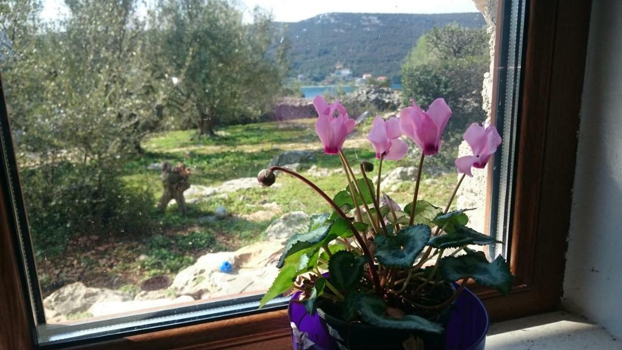Holiday Home Strpuncina Luka  Esterno foto